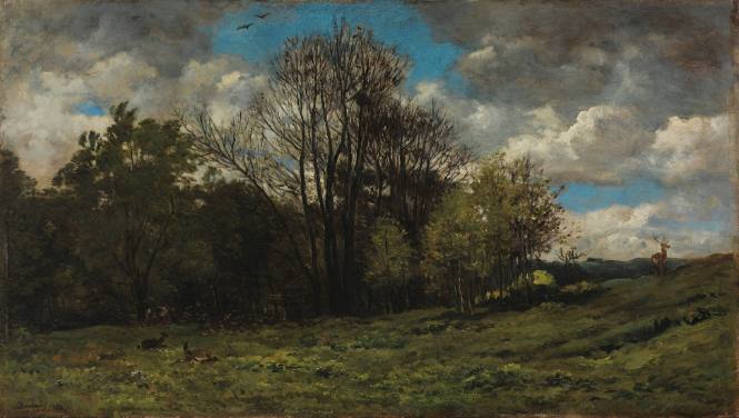 Landscape