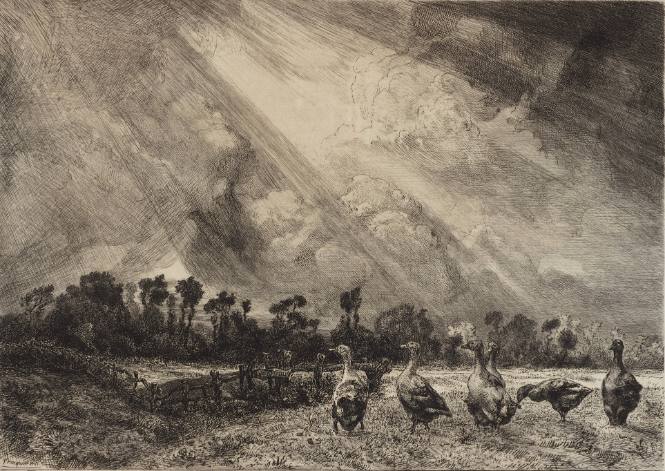 Geese in a Storm