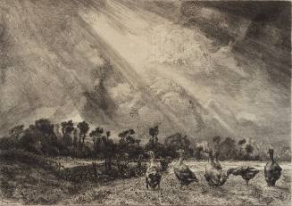 Geese in a Storm
