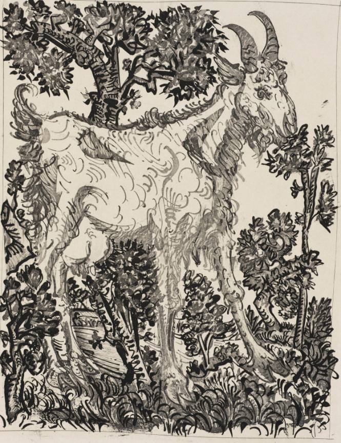La Chèvre  (The Goat) from the series illustrating L'Hisoire naturelle by Georges Louis Leclerc de Buffon