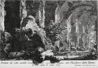 Veduta...delle Terme di Tito, detto le Sette Sale (View of the Seven Halls [baths of Titus]) from Le Antichità Romane, plate 27