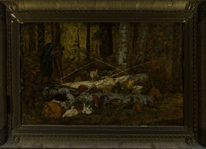 Chickens in Forest