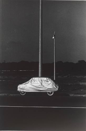 Car and Poles/Rome