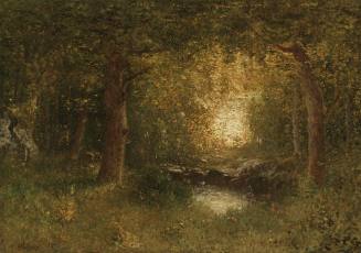A Forest Sunset