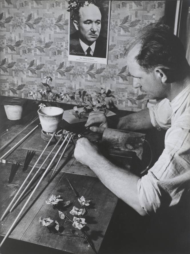 Czech Flower Maker at Home