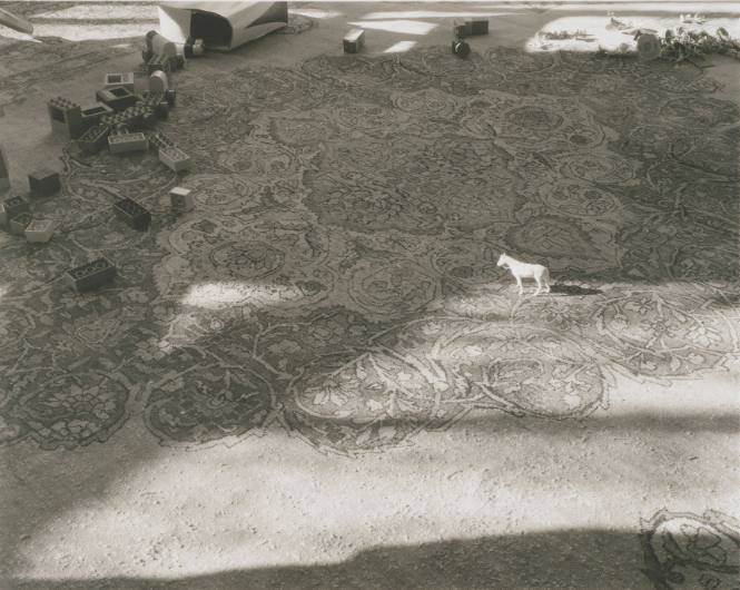 Untitled (Toy Horse on Carpet)