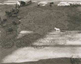 Untitled (Toy Horse on Carpet)