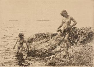 Seaward Skerries