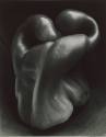 Haunting Legacies: Photography and the Invisible