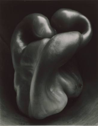 Pepper No. 30