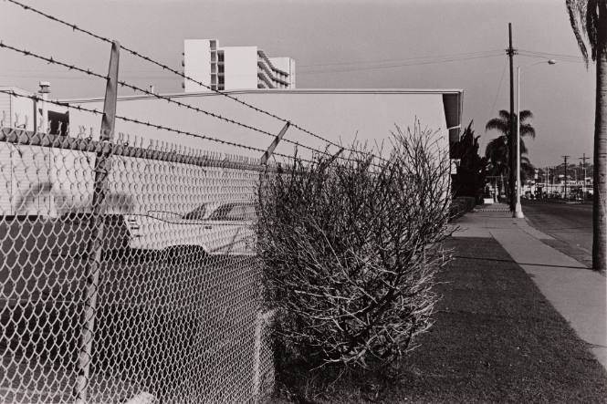 Car & Fence & Bush - San Diego, California