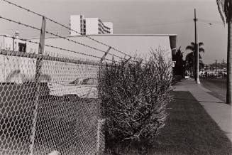 Car & Fence & Bush - San Diego, California