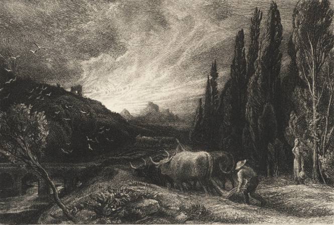 The Early Ploughman